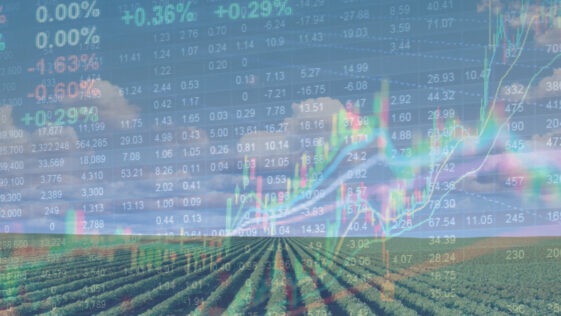 AcreTrader Investment Portfolio