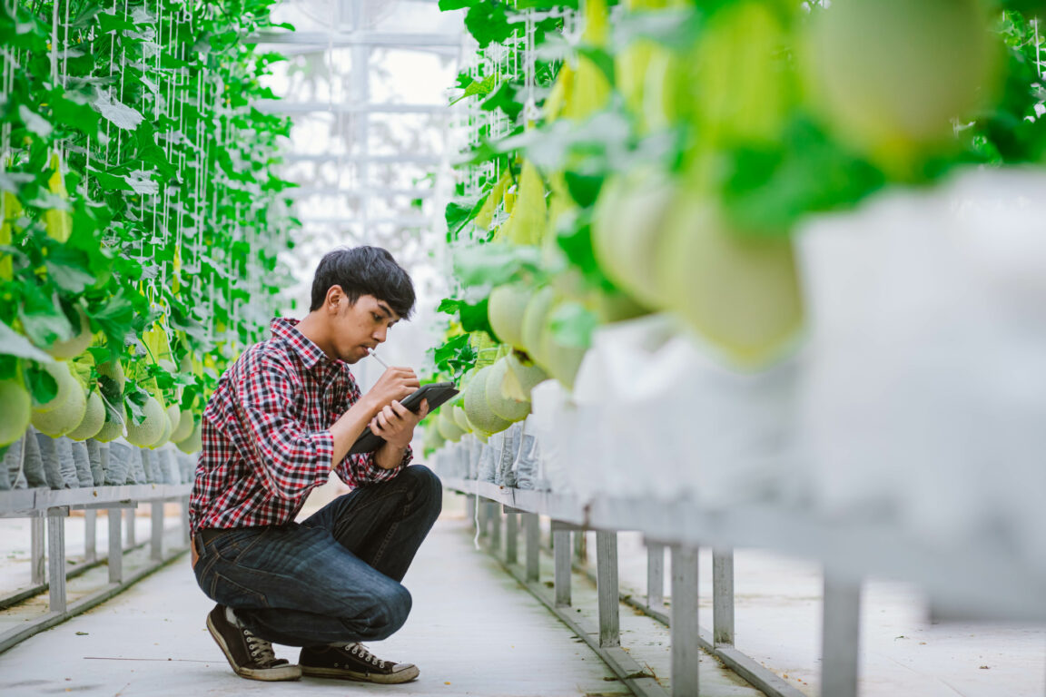 The Unique Challenges of Operating a Farm Today