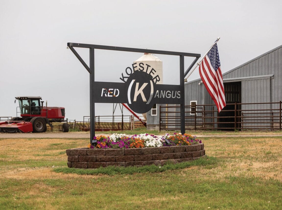 Koester Red Angus entrance sign