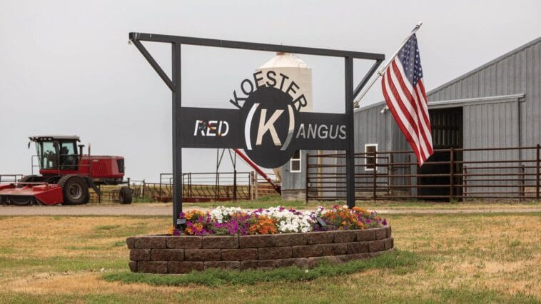 Koester Red Angus entrance sign