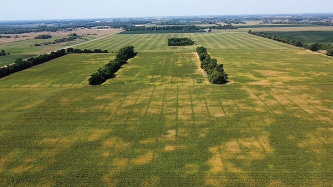 Aerial view of a tile-drained field