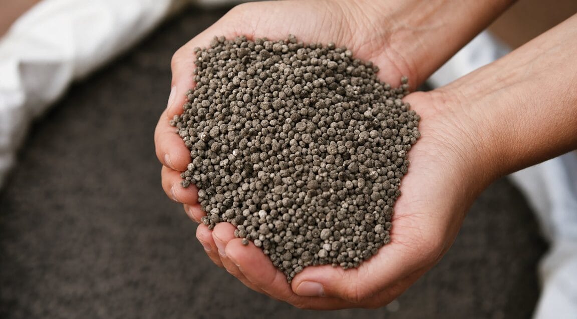 Hands holding CG P2X fertilizer granules