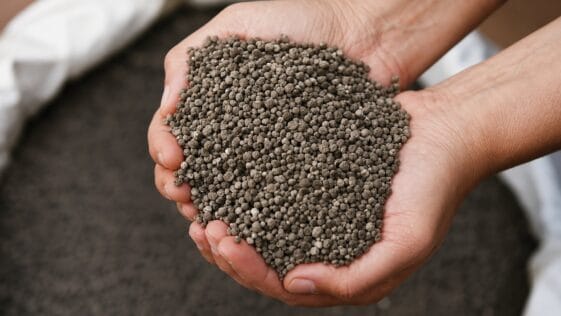 Hands holding CG P2X fertilizer granules